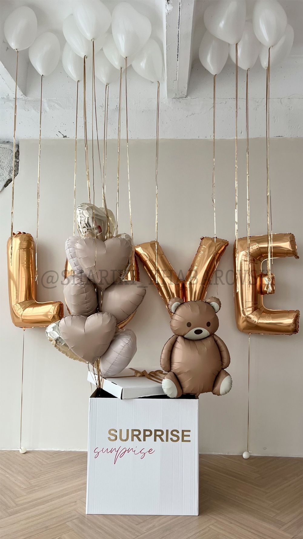 Воздушные шары №6058  Изображение3