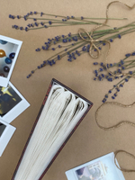 Фотоальбом на 100 фото 10х15 см с кармашками, "bloom" Тюльпаны