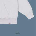  Толстовка мужская Dickies Plentywood Hoodie артикул:DK0A866DD061 - купить в магазине Дайс