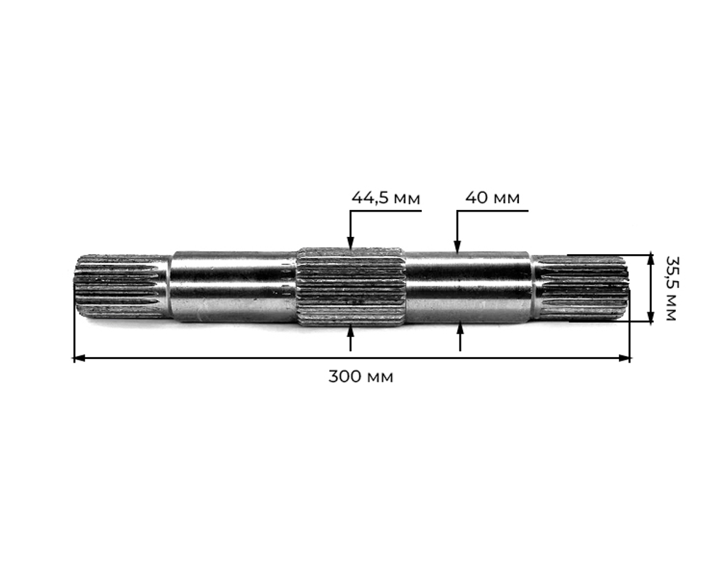 TA-006-Xingtai-1
