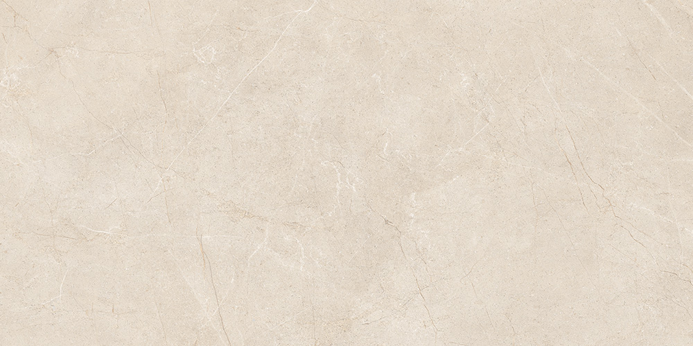 60x120 MoonLight Греж Матовый R10A Ректификат