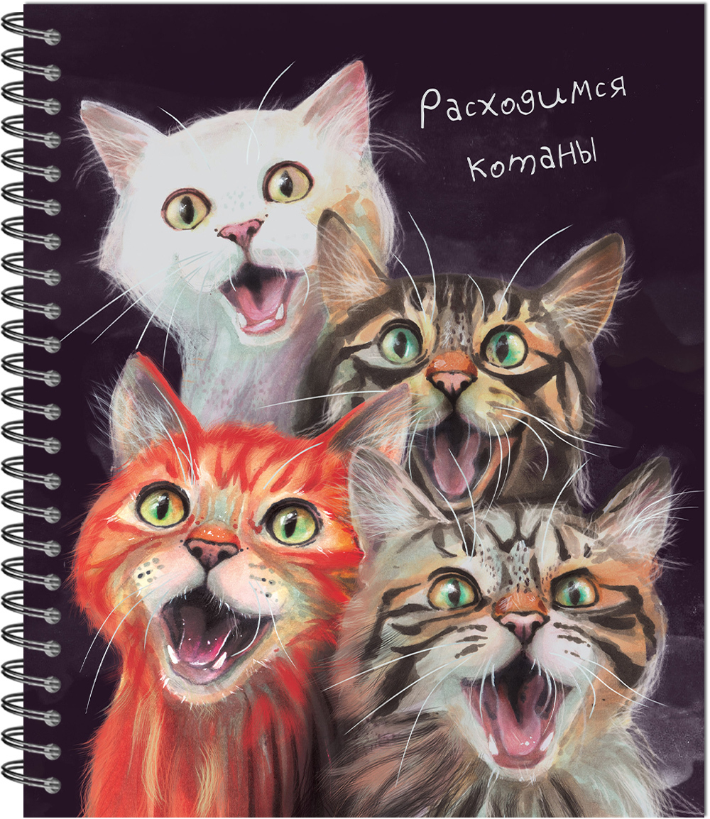 Тетрадь общая 48л., "Мордашки"