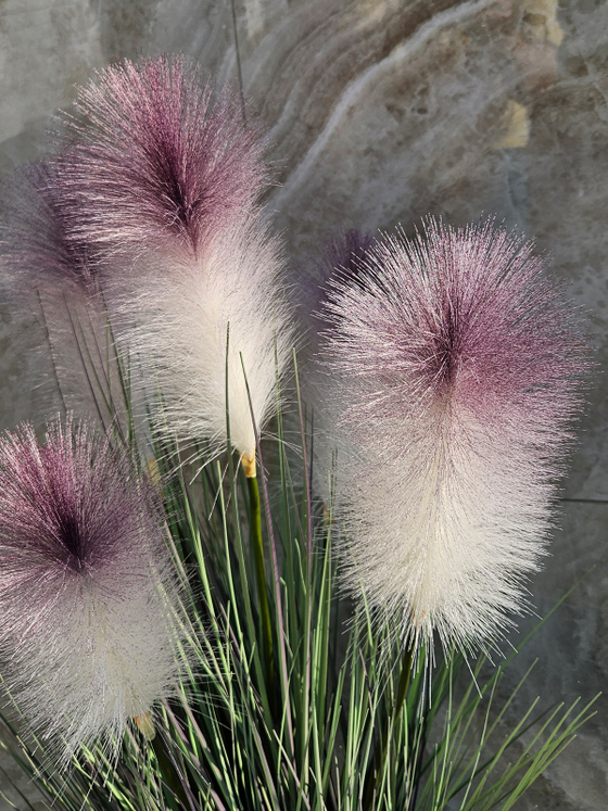 Трава Пампасная с лиловыми султанами 105см в кашпо