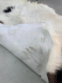 Шкура коврик меховой прикроватный овчина, 120х65 см.