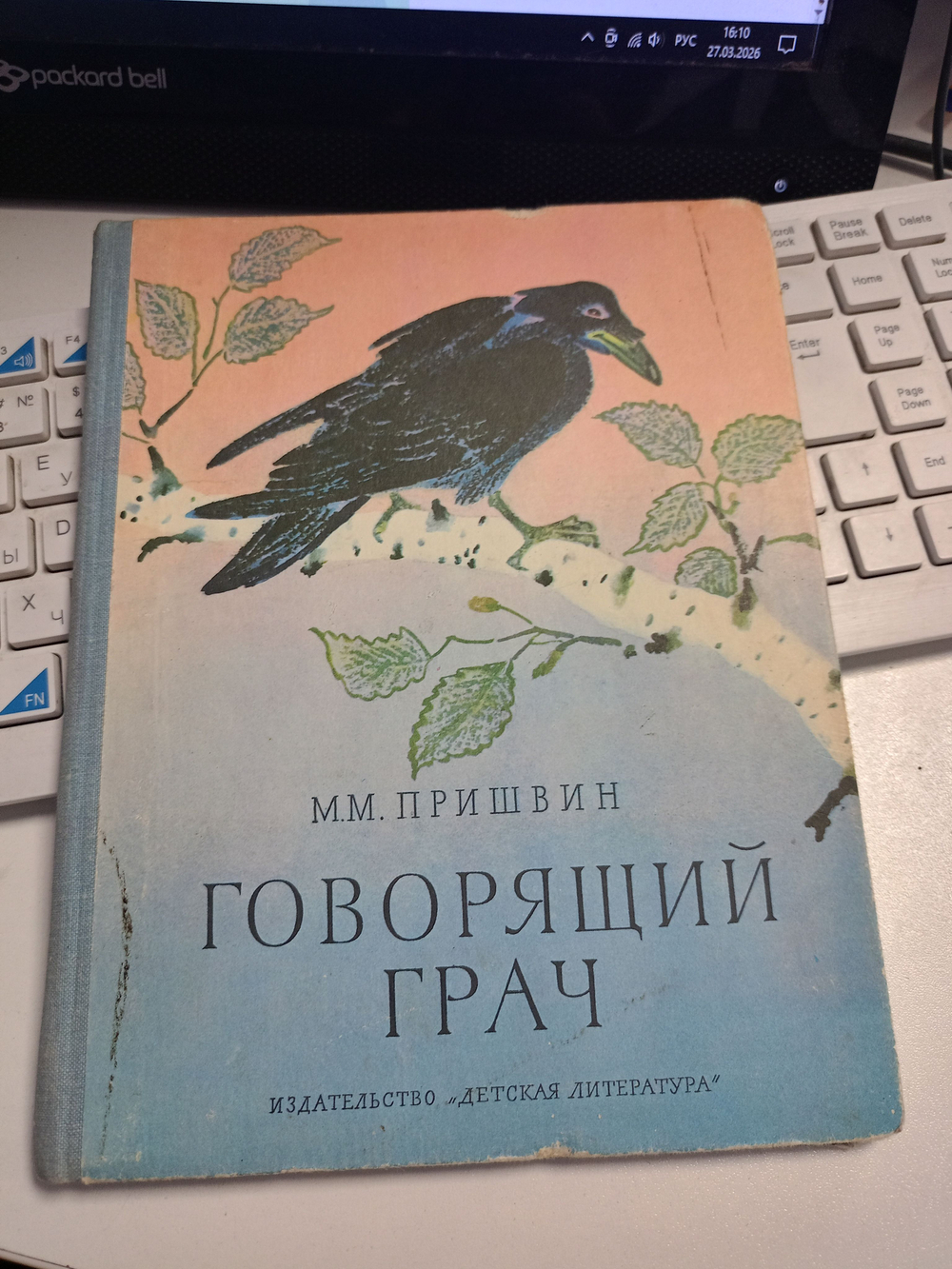 Говорящий грач