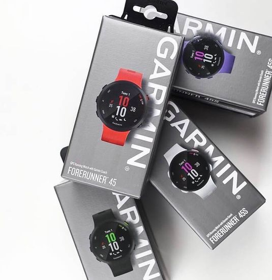 Беговые GPS часы Garmin Forerunner 45 (черные) 010-02156-15