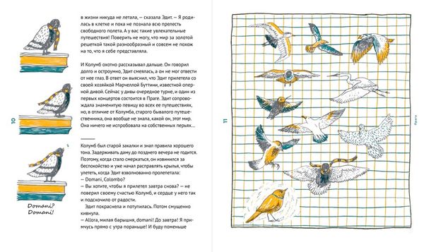 Голубь Колумб