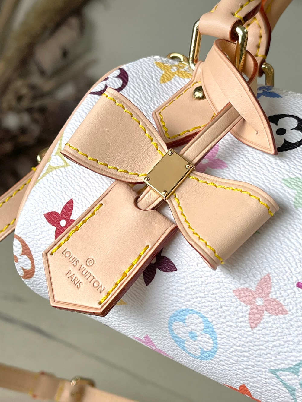 Louis Vuitton Nano Speedy