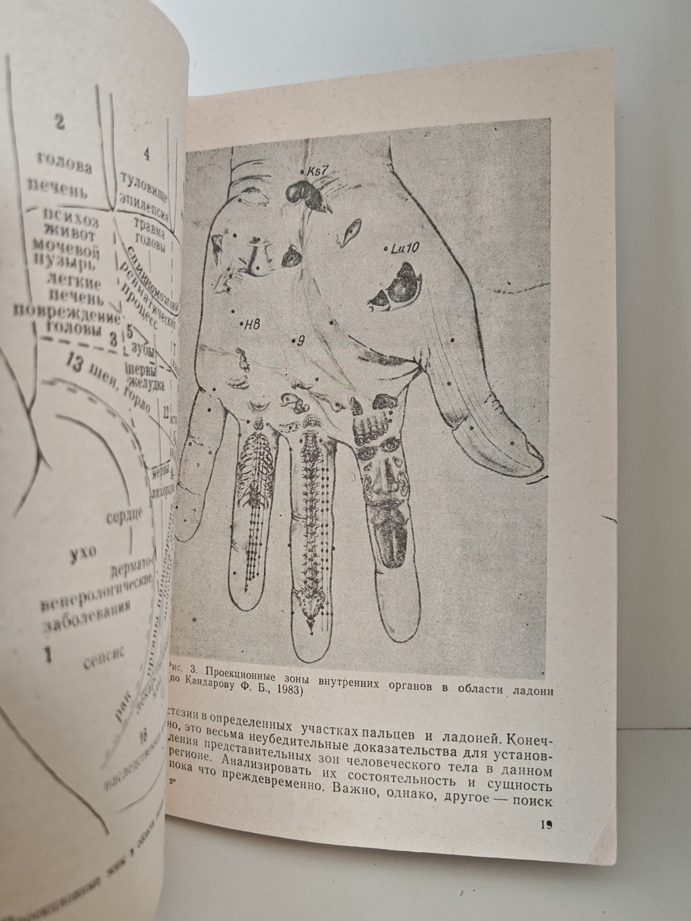 Экстерорецепторы кожи (Некоторые вопросы локальной диагностики и терапии)