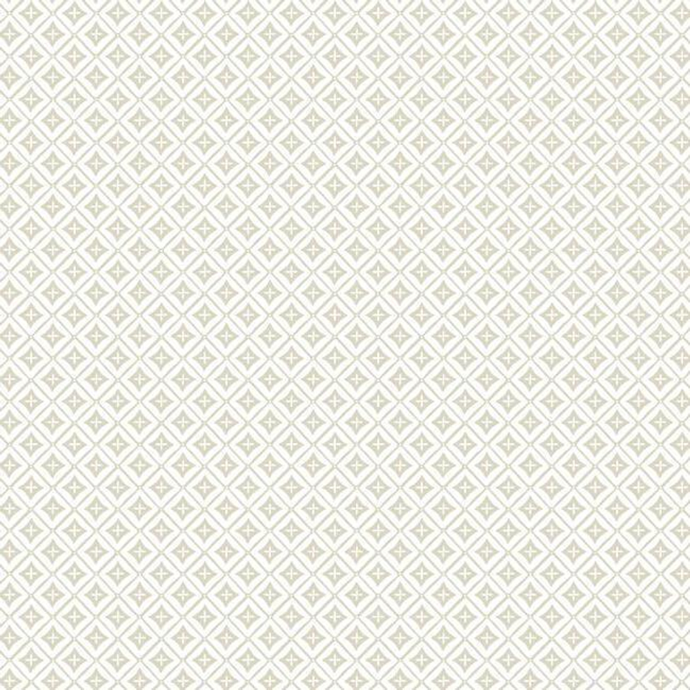 Small Prints Resource Library