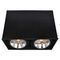 Потолочный светильник Arte Lamp Cardani A5936PL-2BK