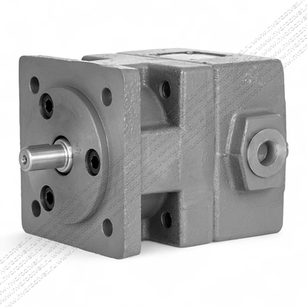 БГ12-41 - Пластинчатый нерегулируемый насос с рабочим объемом 10 см3, 100 бар (YB-D10U)