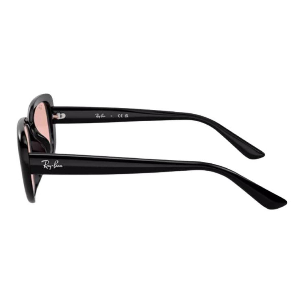 Очки RayBan Logo, 0RB4421D66778456