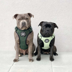 Шлейка Premium Dog Harness v2.0 TWEED BullyBillows