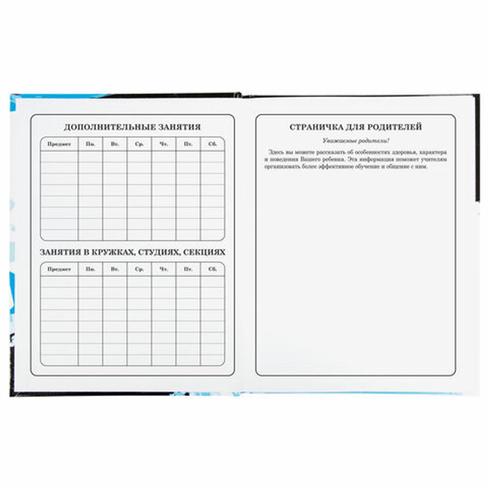 Дневник 1-4 класс 48 л., твердый, BRAUBERG, глянцевая ламинация, с подсказом, "Дрифт", 106355