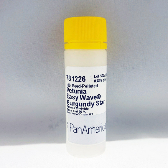 ПЕТУНИЯ EASY WAVE BURGUNDY STAR | Alexagro – фото 5