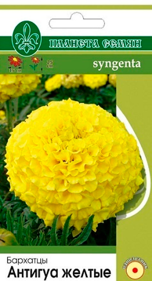 Бархатцы прямостоячие Антигуа желтые