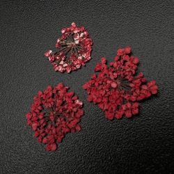 Zoo nail Сухоцветы Любимые цветочки, 1680