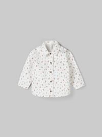 предметная