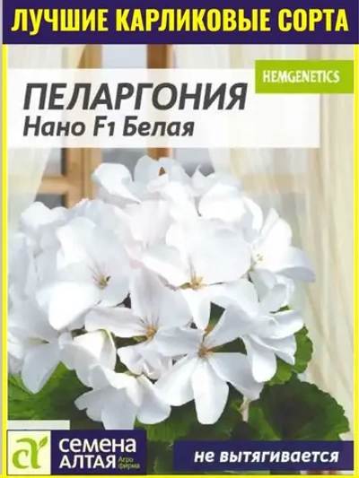 Семена пеларгонии Нано F1 Белая 3 шт