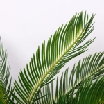 Дерево искусственное «Пальма Цикас» 90см в горшке