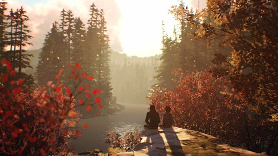 Игра Life is Strange 2 (Б/У) (PS4, русские субтитры)