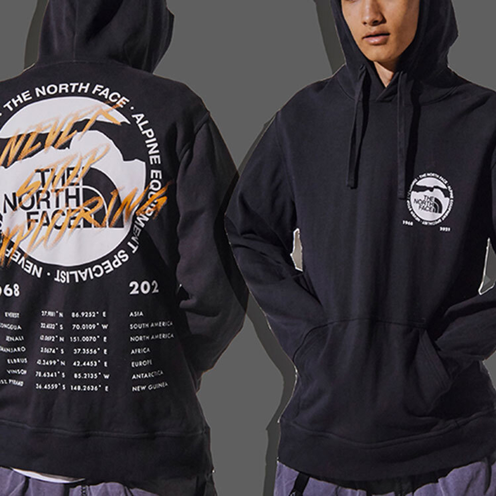 Худи THE NORTH FACE x INVINCIBLE Half Dome Graphic, NF0A5B1T-0C5