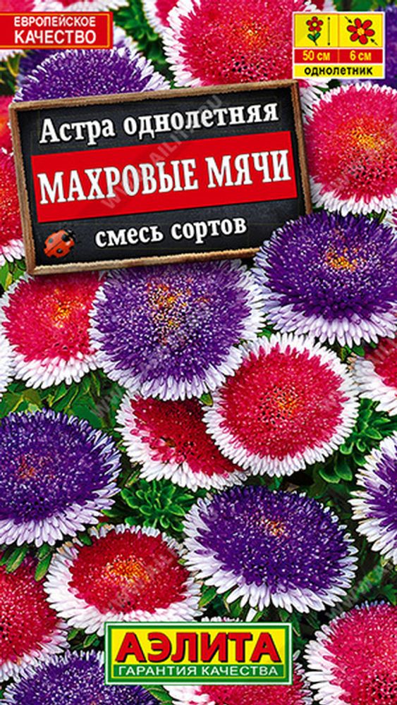 Астра &quot;G. Махровые мячи&quot; 0.1г., Россия.