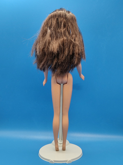 Кукла Барби 00х винтаж Picture Pockets Teresa 031040