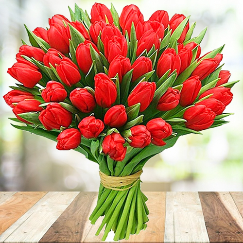 Купить Тюльпаны красные от 9шт