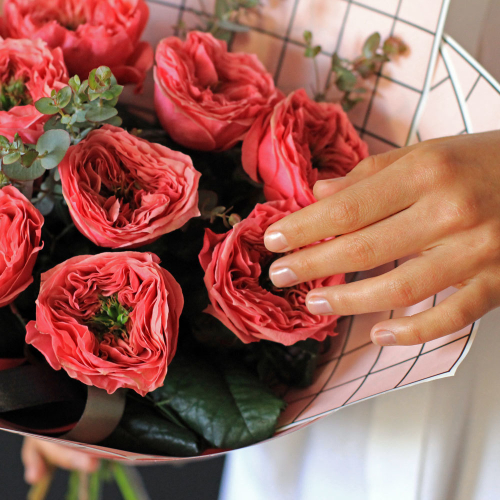 Купить Розы пионовидные Country Garden от 5шт