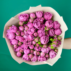 роскошный букет пионовидных кустовых роз Мисти баблз заказать онлайн