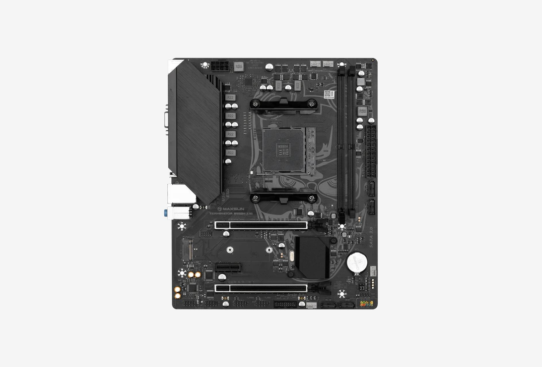 MS-TERMINATOR B550M 2.5G_01251223120408