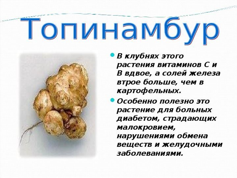 Топинамбур клубни