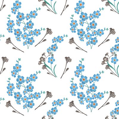 Незабудки на белом фоне.