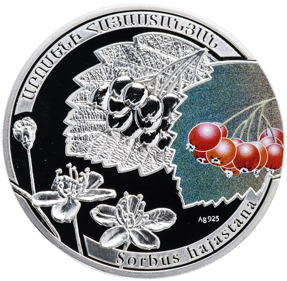 1000 драм. Рябина армянская. Армения. 2011 год