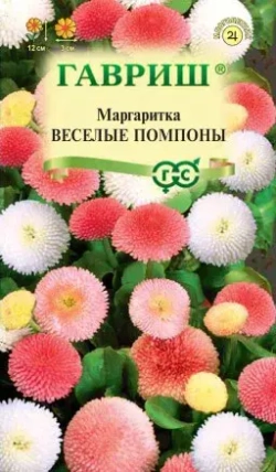 Маргаритка семена