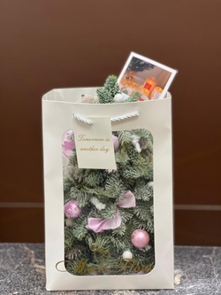 Елочка Подарок НГ-21