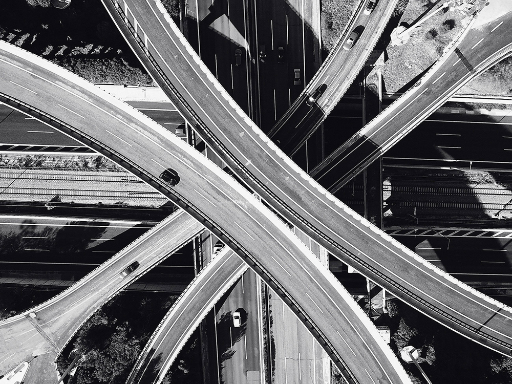 Дизайнерские обои Wall Street Bird see