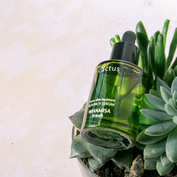 WHAMISA Cactus Bouncy Serum - сыворотка интенсивного лифтинга /   33  ml  / GTIN 8809403815653
