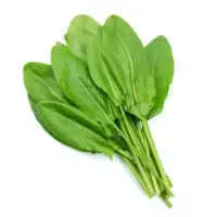 Щавель