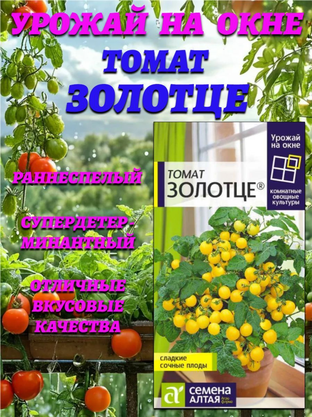 Томат Золотце (0,05гр). Семена Алтая