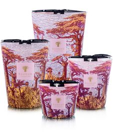 Massasso, свеча MAX 24 Sacred Trees collection, Baobab Collection