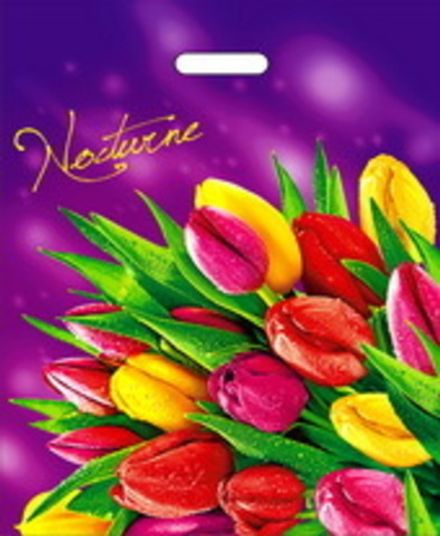 Пакеты с вырубной ручкой "Ноктюрн" 40х50+6см 80мкм (50/500шт)