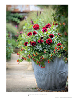 A Year Full of Pots: Container Flowers for All Seasons