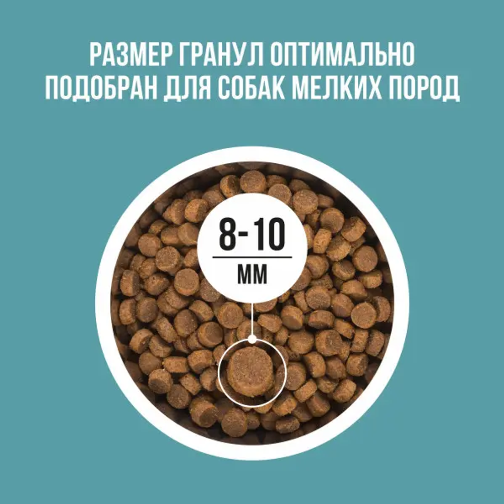 Bowl wow корм сухой для взрослых собак мелких пород с индейкой, рисом и розмарином