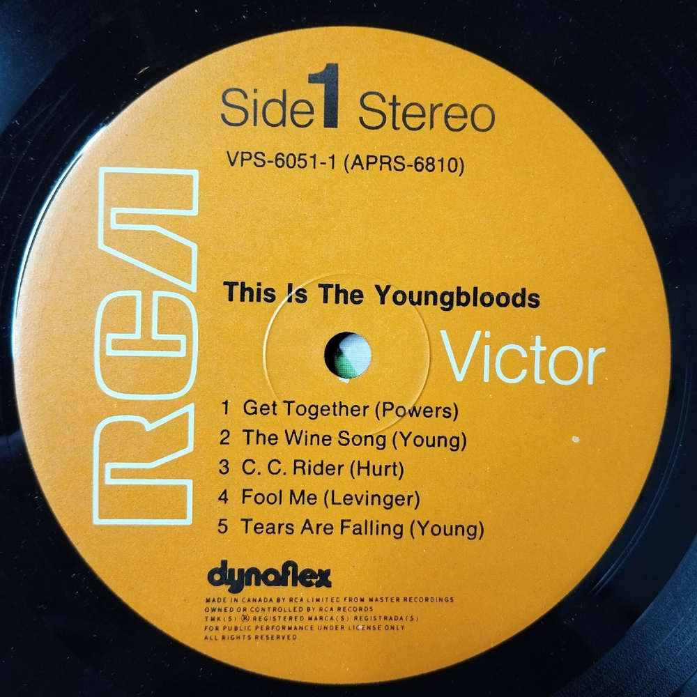 Винтажная виниловая пластинка LP This Is The Youngbloods (Canada 1972)