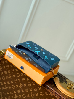Louis Vuitton Félicie Pochette