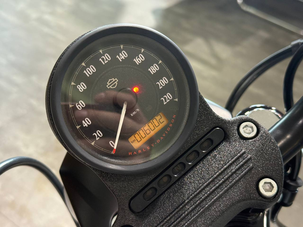 Harley-Davidson Sportster Iron 883 (XL883N) 2018
