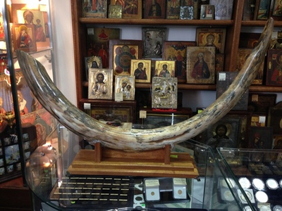 Бивень мамонта